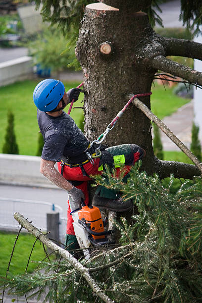 Best Lawn Mowing  in Bennett, CO